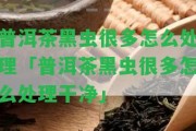 普洱茶黑蟲很多怎么解決「普洱茶黑蟲很多怎么解決干凈」