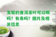 發(fā)霉的普洱茶葉可以喝嗎？有毒嗎？圖片及相關(guān)信息