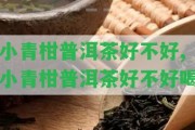 小青柑普洱茶好不好,小青柑普洱茶好不好喝