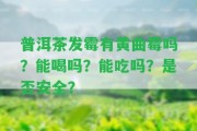 普洱茶發(fā)霉有黃曲霉嗎？能喝嗎？能吃嗎？是不是安全？