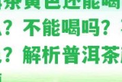 普洱茶黃色還能喝嗎為什么？不能喝嗎？不是綠色？解析普洱茶顏色疑問