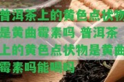 普洱茶上的黃色點(diǎn)狀物是黃曲霉素嗎 普洱茶上的黃色點(diǎn)狀物是黃曲霉素嗎能喝嗎