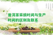 普洱茶采摘時(shí)間與生產(chǎn)時(shí)間的區(qū)別及聯(lián)系