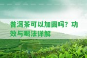 普洱茶可以加圓嗎？功效與喝法詳解