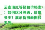 云南滇紅等級和價格表：怎樣區(qū)分等級，價格多少？展示價格表圖和系列。