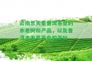 云南思天星普洱茶業(yè)的木老樹和產(chǎn)品，以及普洱市天星茶業(yè)的茶葉