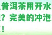 玫瑰普洱茶用開水還是水泡？完美的沖泡方法分享！