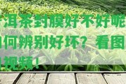 普洱茶封膜好不好呢？怎樣辨別好壞？看圖片和視頻！