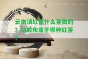 云南滇紅是什么茶做的？功效和屬于哪種紅茶？