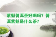 紫魁普洱茶好喝嗎？普洱紫魁是什么茶？