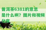 普洱茶6381的意思是什么啊？圖片和視頻分享