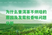 為什么普洱茶不烘培的起因及發(fā)霉和香味疑問分析