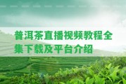 普洱茶直播視頻教程全集下載及平臺介紹