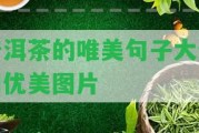 普洱茶的唯美句子大全和優(yōu)美圖片