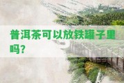 普洱茶可以放鐵罐子里嗎？