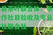 孝縣茶葉聯(lián)合體：茶葉合作社目驗收及專業(yè)合作社聯(lián)合社