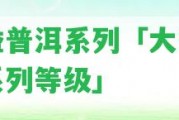 大益普洱系列「大益普洱系列等級」