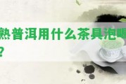 熟普洱用什么茶具泡喝？