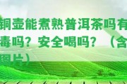 銅壺能煮熟普洱茶嗎有毒嗎？安全喝嗎？（含圖片）