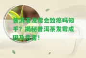 普洱茶發(fā)霉會(huì)致癌嗎知乎？揭秘普洱茶發(fā)霉成因及危害！