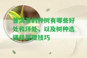 普洱茶的種樹有哪些好處和壞處，以及樹種選擇和管理技巧