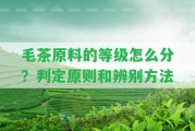 毛茶原料的等級(jí)怎么分？判定原則和辨別方法