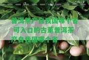 普洱茶產(chǎn)自我國哪個省 可入口的古董普洱茶產(chǎn)自我國哪個省