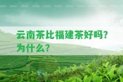 云南茶比福建茶好嗎？為什么？