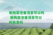 柴陶壺泡普洱茶可以嗎 柴陶壺泡普洱茶可以嗎有毒嗎