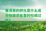 普洱茶的轉(zhuǎn)化靠什么成分和提供能量的權(quán)威過程？