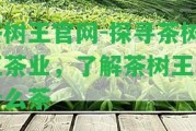 茶樹王官網(wǎng)-探尋茶樹王茶業(yè)，熟悉茶樹王是什么茶