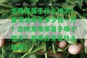 龍珠茶屬于什么檔次？普洱龍珠茶多少錢一斤？古樹龍珠茶屬于哪個(gè)檔次？龍珠白茶是什么級(jí)別？