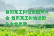 普洱茶王樹仙逝圖片大全 普洱茶王樹仙逝圖片大全高清