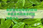 易武茶和勐海茶的區(qū)別-易武茶和勐海茶的區(qū)別是什么