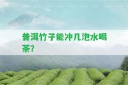 普洱竹子能沖幾泡水喝茶？