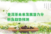 普洱茶未來發(fā)展?jié)摿Ψ治黾摆厔蓊A(yù)測