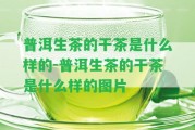 普洱生茶的干茶是什么樣的-普洱生茶的干茶是什么樣的圖片