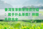 普洱生茶散茶特點介紹：屬于什么茶類？附圖片和大全