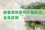 新春老班章傳片圖片大全及區(qū)別