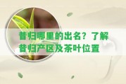 昔歸哪里的出名？熟悉昔歸產(chǎn)區(qū)及茶葉位置