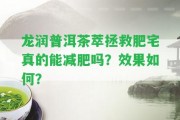 龍潤普洱茶萃拯救肥宅真的能減肥嗎？效果怎樣？