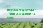 喝普洱茶放屁嗎好不好「喝普洱茶放屁嗎好不好呢」