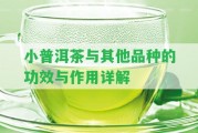 小普洱茶與其他品種的功效與作用詳解