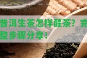 普洱生茶怎樣醒茶？完整步驟分享！