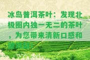 冰島普洱茶葉：發(fā)現(xiàn)北極圈內(nèi)獨(dú)一無(wú)二的茶葉，為您帶來(lái)清新口感和健效益！