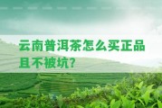 云南普洱茶怎么買(mǎi)正品且不被坑？