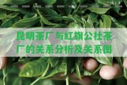 昆明茶廠與紅旗公社茶廠的關系分析及關系圖