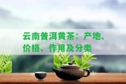 云南普洱黃茶：產(chǎn)地、價格、作用及分類