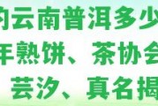 家的云南普洱多少錢？16年熟餅、茶協會會長、蕓汐、真名揭秘！