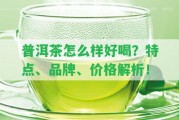 普洱茶怎么樣好喝？特點、品牌、價格解析！